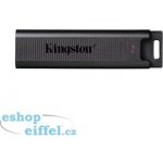 Kingston DataTraveler Max 1TB DTMAX/1TB – Zboží Živě