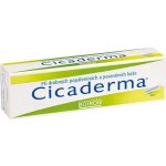 CICADERMA DRM UNG 30G – Hledejceny.cz