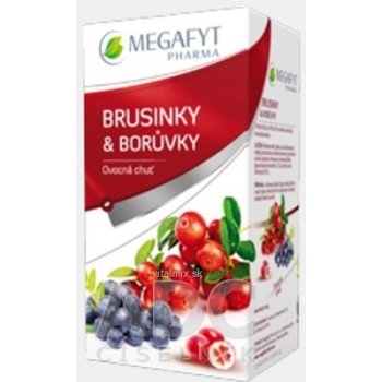 Megafyt Ovocný Brusinky borůvky 20 x 2 g