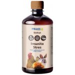 Iframix Stimflash 500 ml – Zboží Dáma