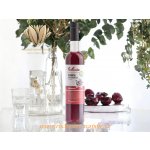 Bobule 100% bio brusinková šťáva 0,5 l – Zboží Dáma