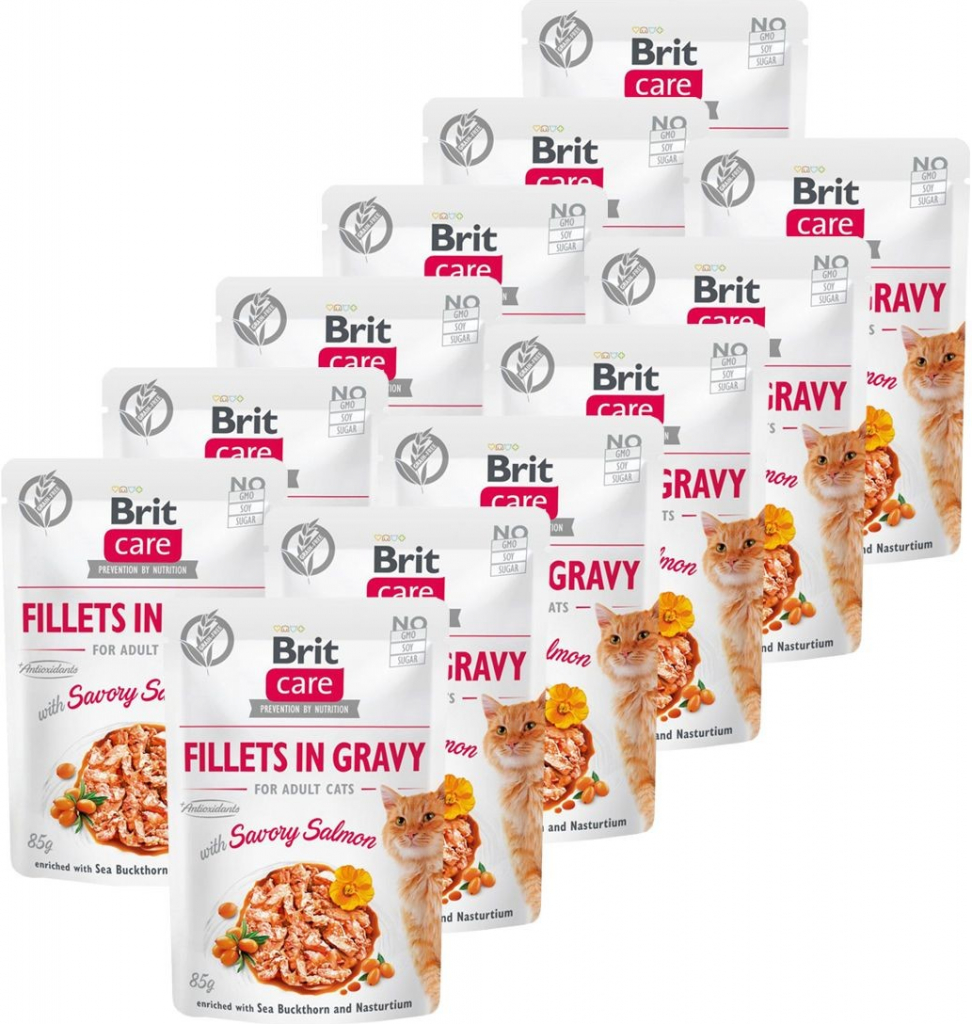Brit Care Cat Fillets in Gravy Savory Salmon 12 x 85 g