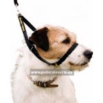 Canny Collar obojek výcvikový – Sleviste.cz