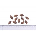 Brit Care Grain-free Sensitive Venison 12 kg – Sleviste.cz