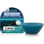 Yankee Candle Moonlit Cove vonný vosk 22 g – Zboží Dáma