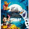 Kniha Disney - Usínací sbírka pohádek - Walt Disney