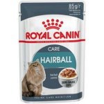 Royal Canin Feline Hairball Care 85 g – Hledejceny.cz