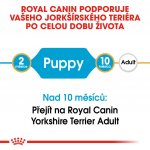 Royal Canin Yorkshire Terrier Puppy 1,5 kg – Zboží Mobilmania