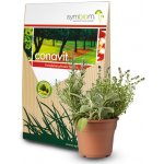 Symbiom Conavit - 750 g – Hledejceny.cz