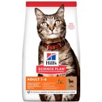 Hill’s Feline Adult Lamb & Rice 1,5 kg – Hledejceny.cz