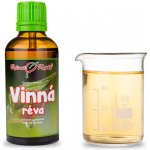 Bylinné kapky Vinná réva tinktura z pupenů gemmoterapie 50 ml – Hledejceny.cz