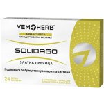 Vemoherb Solidago Zlatobýl obecný 24 kapslí – Hledejceny.cz