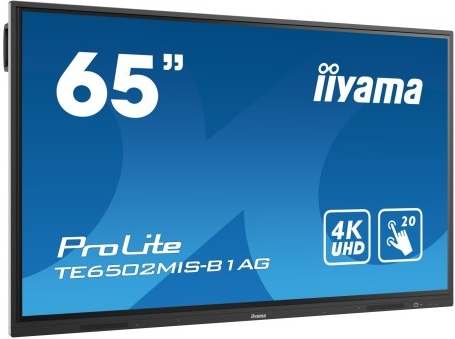 iiyama Prolite TE6502MIS