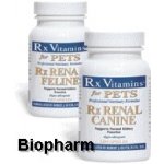 Rx Vitamins Rx Renal Feline 120cps – Zboží Mobilmania