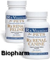 Rx vitamins clearance renal feline