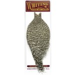 Whiting Hackles Whiting Kohoutí Skalp Coq de Leon Rooster Cape Grizzly – Hledejceny.cz