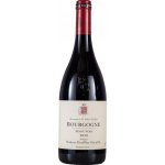 Domaine Robert Groffier Bourgogne Pinot Noir 2020 Červené 13,5% 0,75 l (holá láhev) – Hledejceny.cz