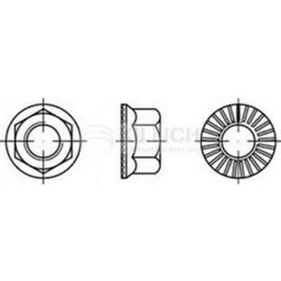 matice M8 ZINEK cl.10 ozubený límec RIPP – Zboží Mobilmania