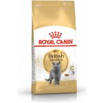 Royal Canin FBN British Shorthair Adult 10 kg – Hledejceny.cz