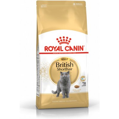 Royal Canin FBN British Shorthair Adult 10 kg – Hledejceny.cz