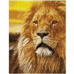 DIAMOND DOTZ Diamantové malování Lev s rámem DQK9002 35 x 45 cm – Hledejceny.cz