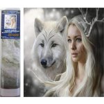 Norimpex Diamantové malování Královna ledových plání 30 x 40 cm – Sleviste.cz