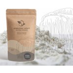 LifeChi Korálovec ježatý Hericium erinaceus extrakt v prášku 50 g 30% polysacharidů – Hledejceny.cz