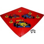 Wiky Drak plast asst 4 druhy 110 x 72cm – Zboží Dáma