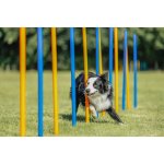 Trixie agility slalom tyče 12ks – Zbozi.Blesk.cz