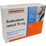 AMBROBENE POR 75MG CPS PRO 10 – Hledejceny.cz