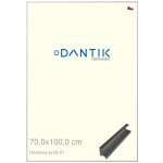 DANTIK rámeček 70 x 100 profil 7001 Stříbrná lesklá – Zboží Živě