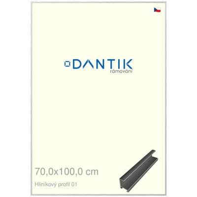 DANTIK rámeček 70 x 100 profil 7001 Stříbrná lesklá – Zboží Živě