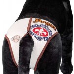 Europet Bernina D&D Doggy hárací kalhotky se 4 vložkami XL 50 x 49 cm – Zbozi.Blesk.cz