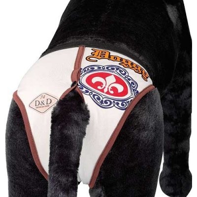 Europet Bernina D&D Doggy hárací kalhotky se 4 vložkami XL 50 x 49 cm – Zbozi.Blesk.cz