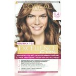 L'Oréal Excellence Creme Triple Protection 6.41 hnědá oříšková – Zboží Mobilmania