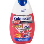 Vademecum 2v1 Junior kombinace zubní pasty a ÚV Jahoda 75 ml – Hledejceny.cz