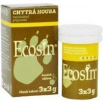 Ecosin Chytrá houba 3 x 3 g – Zboží Dáma