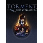 Torment: Tides of Numenera – Zboží Živě