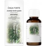 HealthNA Befungin forte extrakt z čagy 90 ml – Hledejceny.cz