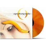 Perfect Circle - Thirteenth Step LP – Hledejceny.cz