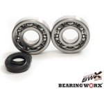 BEARING WORX Ložiska a těsnění klikovky KAWASAKI KDX 200 91-06, KDX 220 97-05 (MADE IN JAPAN) (NTN) (24-1045) | Zboží Auto