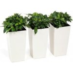 Lamela Květináč Finezja 250 x 250 mm ratan bílý – Hledejceny.cz