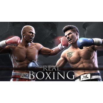 Real Boxing