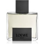 Loewe Solo Mercurio parfémovaná voda pánská 50 ml – Hledejceny.cz