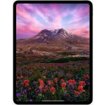 Apple iPad Pro 11 (2024) 256GB Wi-Fi Silver MVV93HC/A – Zboží Živě