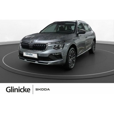 Skoda Kamiq TSI Balance DSG 85 kW – Hledejceny.cz