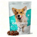 Geloren S-M kloubní výživa pro malé a střední psy 180 g 60 ks – Sleviste.cz