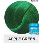 La Riché Directions 15 Apple Green 89 ml – Sleviste.cz