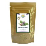Salvia Paradise Plicník lékařský nať mletá 80 g – Hledejceny.cz
