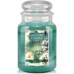 Country Candle Tinsel Thyme 680 g – Zbozi.Blesk.cz